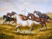 unknow artist Horses 015 oil painting reproduction